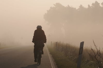 Rear view of man riding bicycle on road