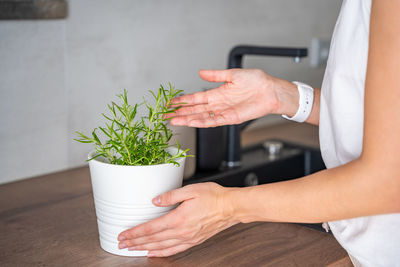 Midsection of woman holding potted plant