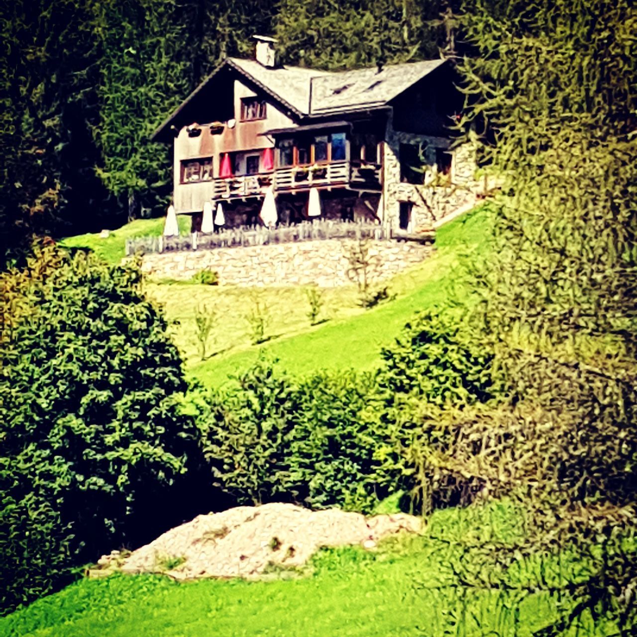 HOUSE AND TREES ON FIELD