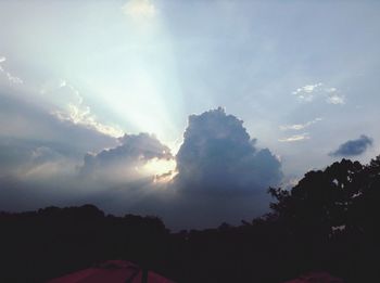 Low angle view of silhouette trees against sky