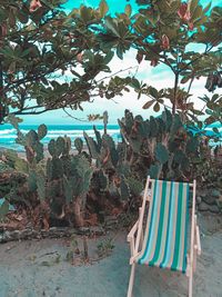 View of chair against trees