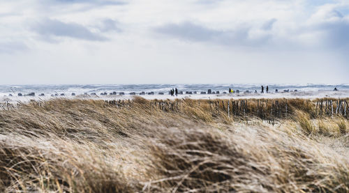 Scenic view of beach against sky