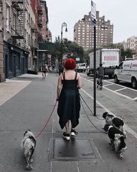 Rear view of woman with dog walking on street in city