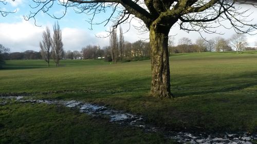 Scenic view of grassy field against cloudy sky