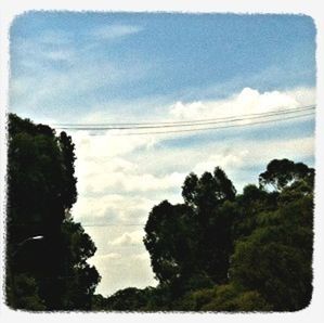 transfer print, tree, sky, power line, cloud - sky, auto post production filter, tranquility, tranquil scene, cloud, cloudy, scenics, beauty in nature, nature, electricity pylon, low angle view, cable, silhouette, outdoors, electricity, no people