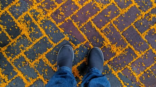 Low section of man standing on yellow petals covered footpath