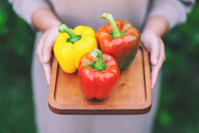 Close-up of hand holding red bell peppers