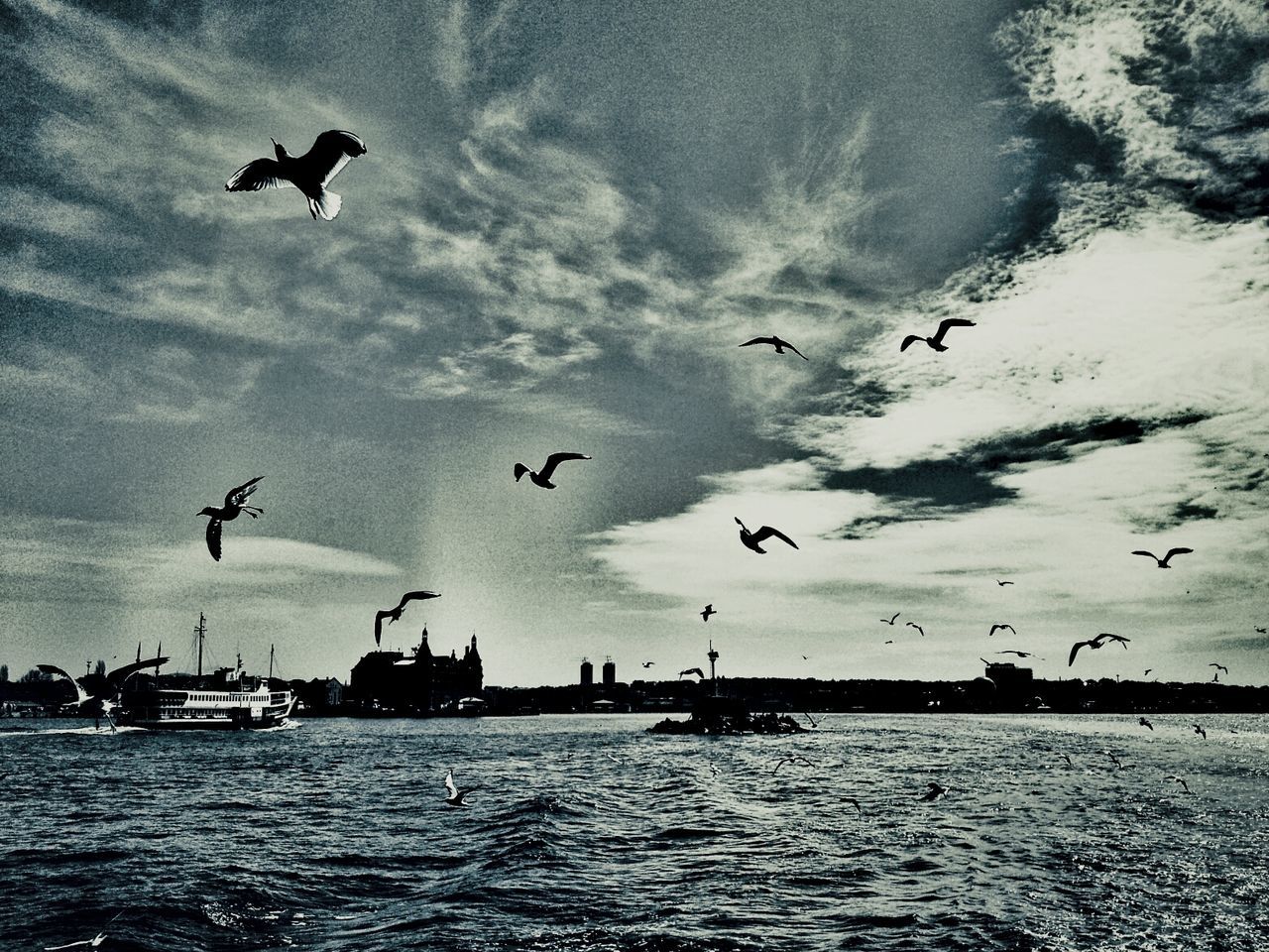 flying, bird, animal themes, animals in the wild, wildlife, water, sky, mid-air, spread wings, cloud - sky, sea, waterfront, flock of birds, medium group of animals, nature, transportation, silhouette, cloudy, seagull