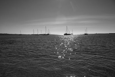 Sailboats in sea against sky