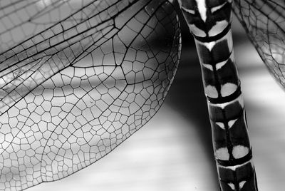 Close-up of fishing net against water