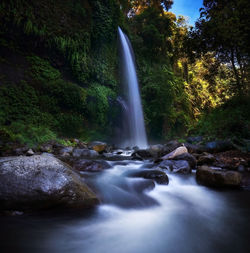 Scenic view of waterfall in forest