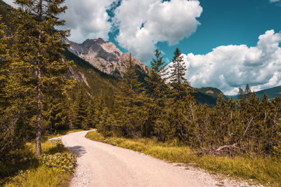 Forest path in south tyrol, val fiscalina