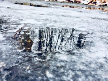 Close-up of ice on frozen water