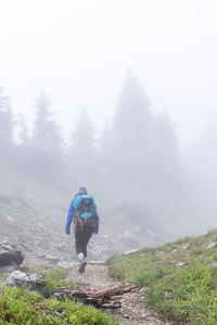 Hiking scenes in the beautiful north cascades.