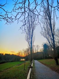 Bare tree by road against sky during sunset