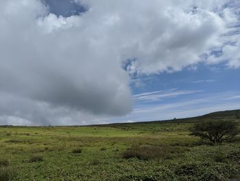 Scenic view of field against sky