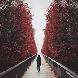 Rear view of woman walking on bridge