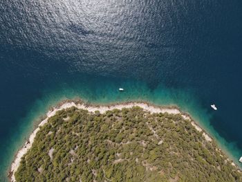 High angle view of starfish on beach