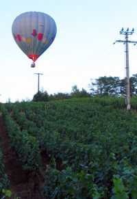 Hot air balloon flying over trees