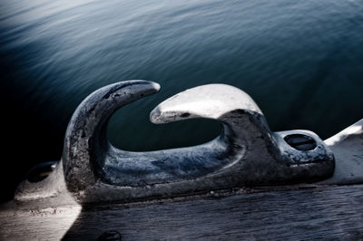 Close-up of swan on water