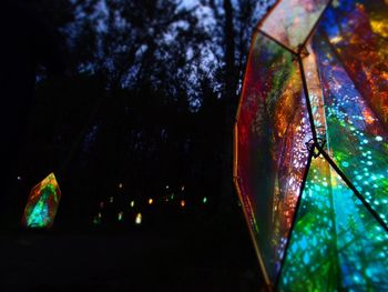 Low angle view of trees at night