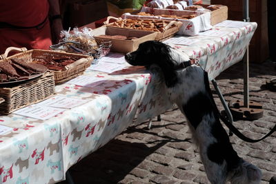 High angle view of dog looking at food on table at market