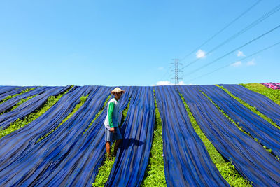 Man drying blue fabrics on grassy field against blue sky during sunny day