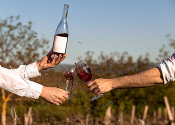 Two male in vineyard clink broken glasses with rose wine.