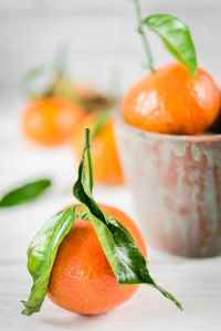 Close-up of oranges on table