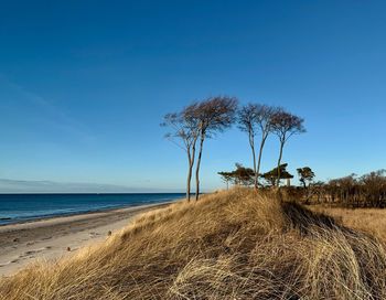 Scenic view of sea against clear blue sky