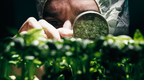 Scientist analyze ogm genetically modified plants