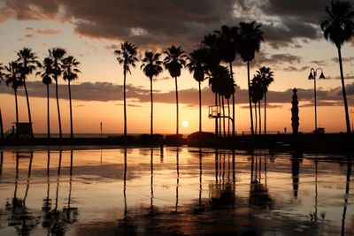 Silhouette palm trees at sunset