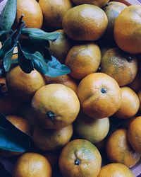 High angle view of citrus fruits for sale in market