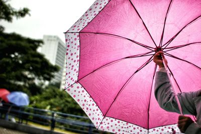 Cropped image of woman holding umbrella