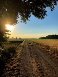 Scenic view of dirt road on field against sky at sunset