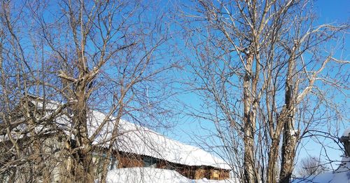 Low angle view of bare tree against sky during winter