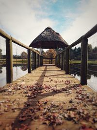 By the pond