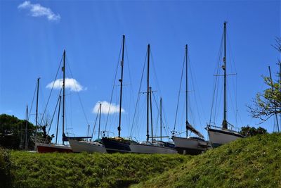 Sailboats moored at harbor against blue sky