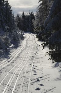 View of ski tracks on snow covered land