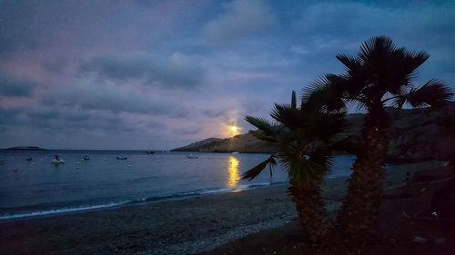 Palm trees on beach against sky at sunset