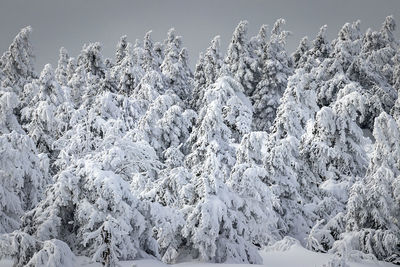 Frozen landscape against sky