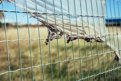 Close-up of barbed wire fence