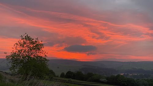 Scenic view of landscape against orange sky