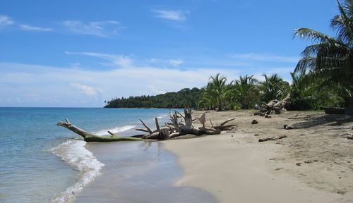 Scenic view of beach against sky