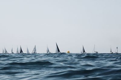 Sailboats sailing in sea against clear sky