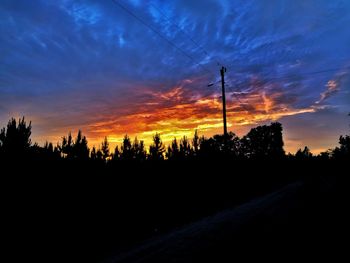 Silhouette trees on field against sky during sunset