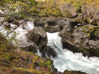 Scenic view of waterfall in forest