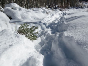 Snow covered land and trees against sky