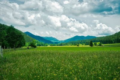 Scenic view of field against sky