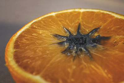 Close-up of orange slices